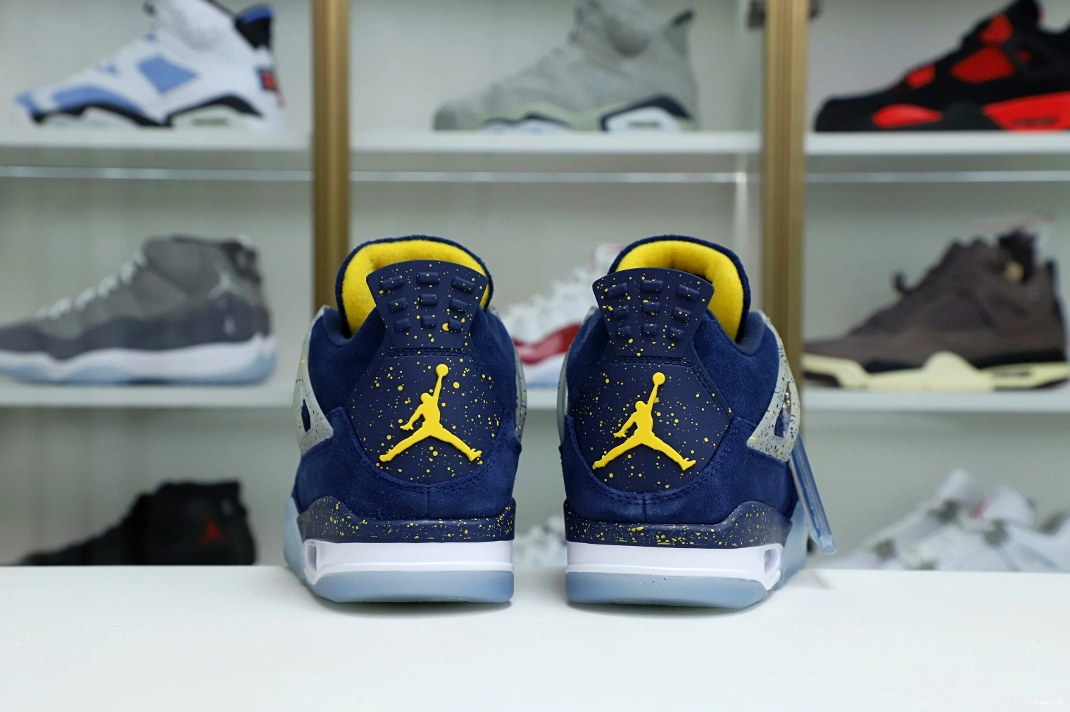 Jordan Air 4 Jordan 1010
